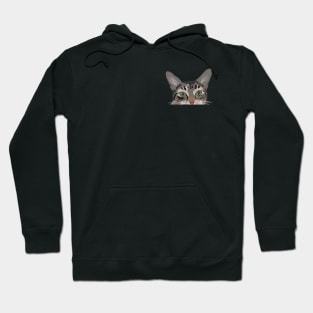 Tabby Cat Eyes Hoodie